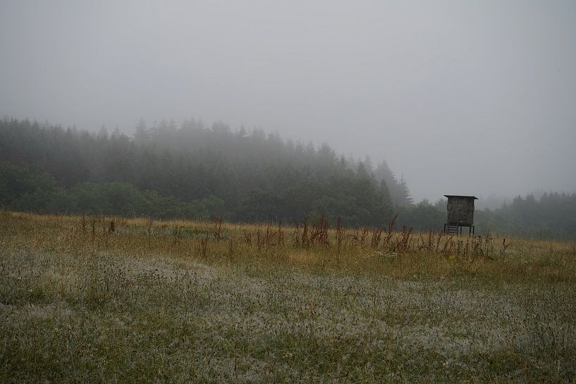 fog in the fields by Madeltijntje