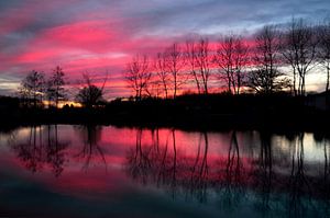 Ciel rose du soir II
