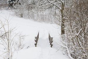 Sneeuw( snowlandscape)