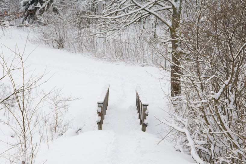 Schnee (Schneelandschaft) von Diana Edwards