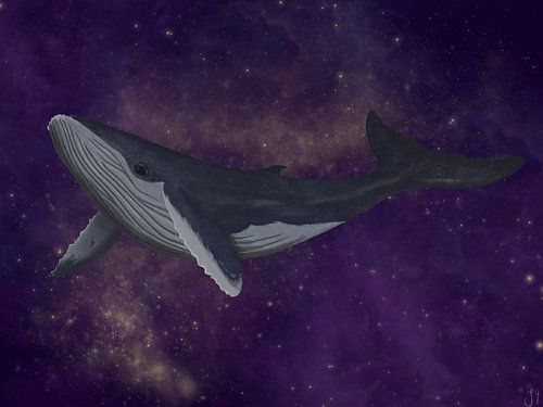 Astral Space Whale