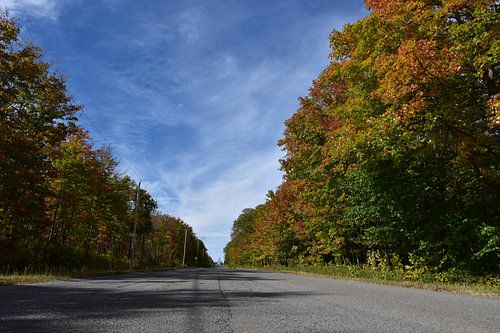 De dorpsweg in de herfst