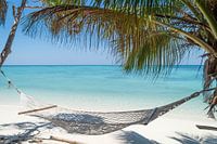 Lankayan Island
