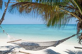 Lankayan Island by Melvin Jonker