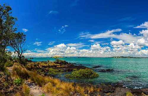 L'île de Rangitoto.