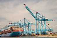 Hijskranen en containerschepen op de Tweede Maasvlakte, Rotterdam van Jille Zuidema thumbnail