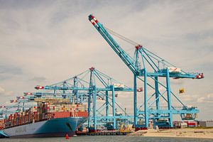 Hijskranen en containerschepen op de Tweede Maasvlakte, Rotterdam
