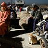 Kat op de vismarkt in Essaouira, Marokko van Ingrid Meuleman