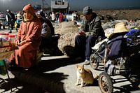 Le chat in Essaouira, le Maroc
