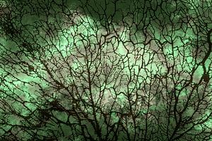 Skandinavischer Wald Grün von Mad Dog Art