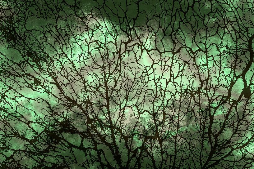 Scandinavian Forest Green by Mad Dog Art