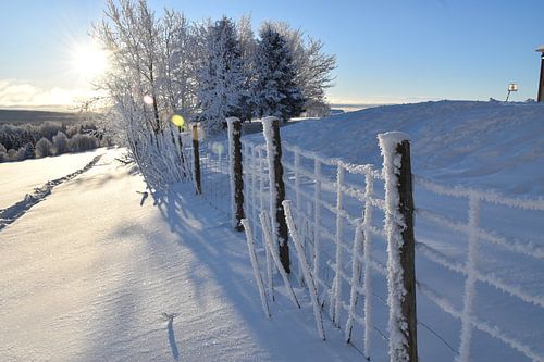 Een ijzige omheining na de storm