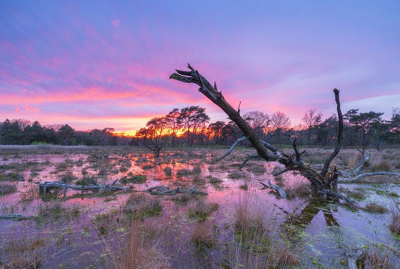 Sunset Schipborg - Drenthe (Netherlands) by Marcel Kerdijk