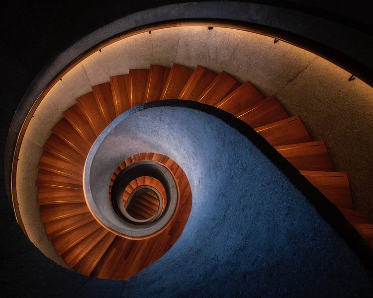 Top down van Bram de Jong