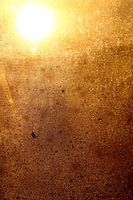 dawn through my wet window