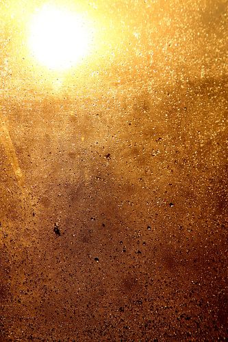 dawn through my wet window