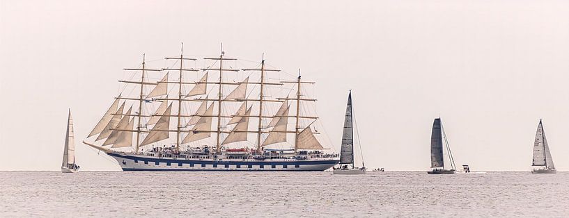 Starklipper von Enrico Veneziano