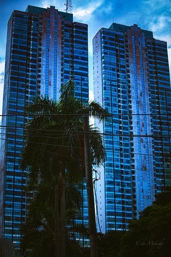 tours anciennes et modernes sur Charles de Monchy