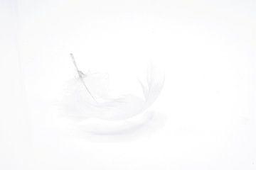 Printemps sur Joyce van Dalen