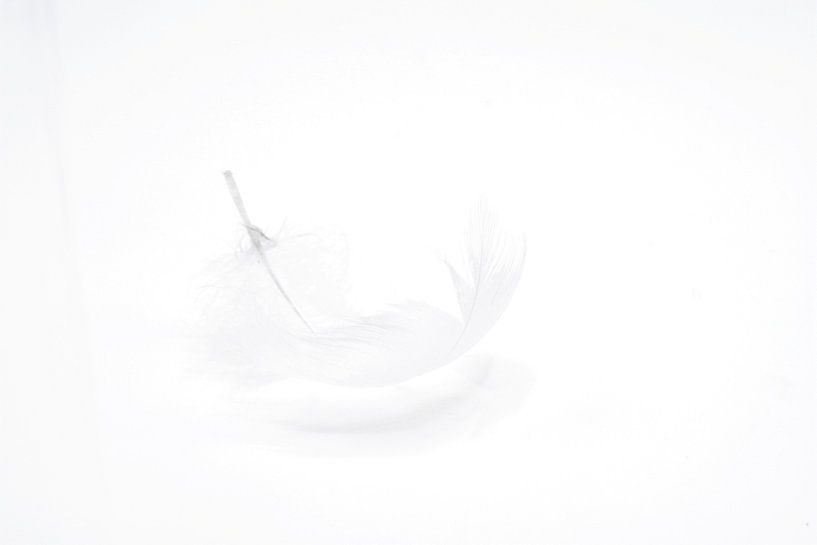 Veer van Joyce van Dalen