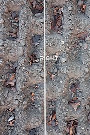 Right van Jack Wilms