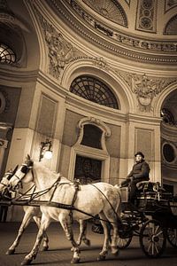 Paard en wagen van Tycho Müller