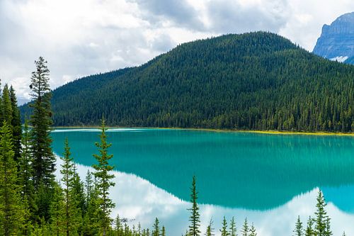 Bow Lake mit türkisfarbenem Wasser und bewaldetem Berg im Hintergrund
