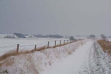 Texel dans la neige sur Peter Schoo - Natuur & Landschap