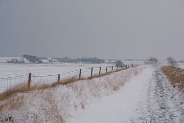 Texel dans la neige