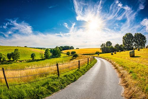 Summer Landscape