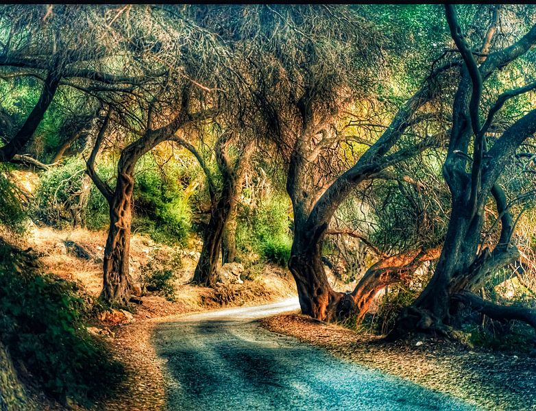 Alice in Wonder Land the beginning by Truckpowerr