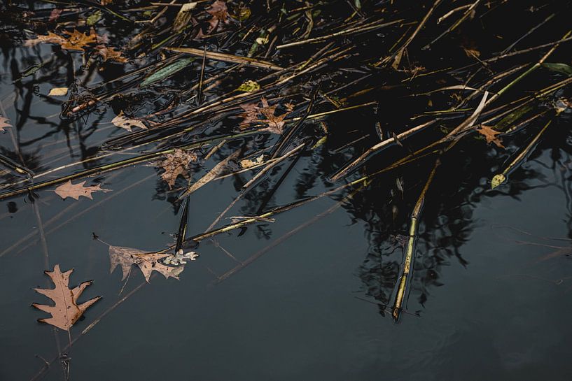 Réflexion dans le Neerbeek par ElkeS Fotografie