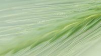 Abstract 2