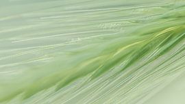 Abstract 2 by Mariëlle de Valk