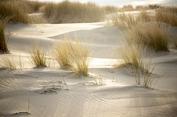 Sonnenaufgang in den Dünen am Strand | fine art nature photo