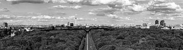 Panorama van de skyline van Berlijn van Frank Herrmann