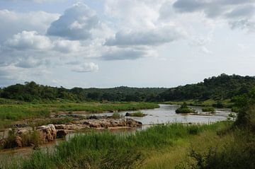 Rivier in het Balule national park in Zuid-Afrika van Johnno de Jong