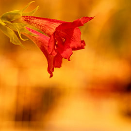 Voller Farben.