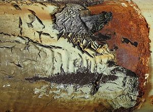 Urban Abstract 313