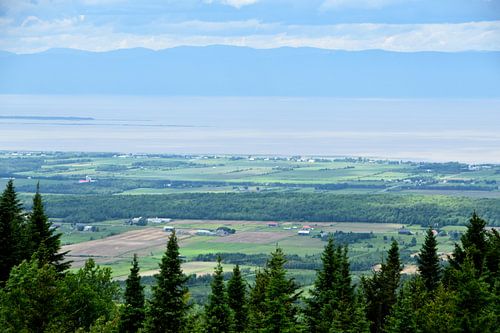 Views of the river and mountains in summer