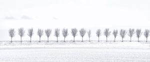 Bomen in een winters landschap van John Leeninga