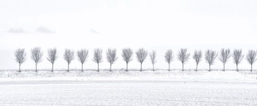 Trees in a winter landscape by John Leeninga