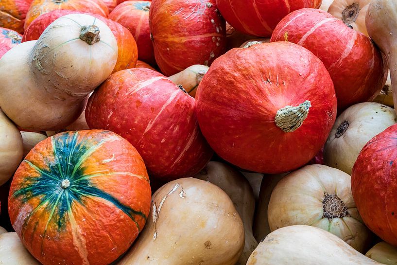 Courges d'Hokkaido et de Butternut par Dieter Meyer