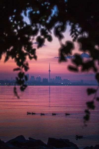 Toronto by Hello Pompoyo