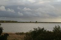 Oostvaardersplassen (Almere op achtergrond)