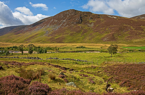 Invercauld Estate, near Braemar on Royal Deeside, Aberdeenshire