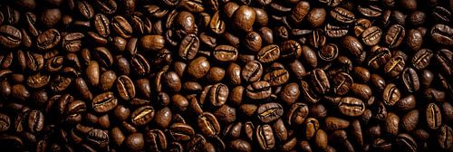 Panorama de grains de café fraîchement torréfiés
