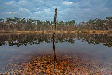 Oisterwijk - Herbst an den Oisterwijkse Bossen en Vennen von Frank Smit Fotografie