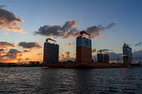 Sunrise Dockwise Vanguard