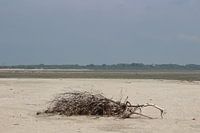 Uitzicht strand